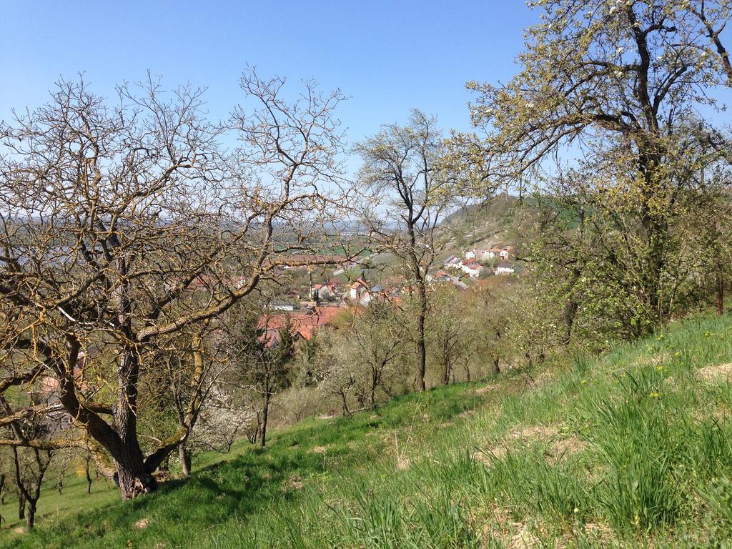 Alte Rose Gasthaus Ebelsbach Номер фото